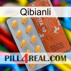 Qibianli 43